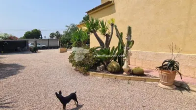 Casa – Elx - Elche - Vista 4