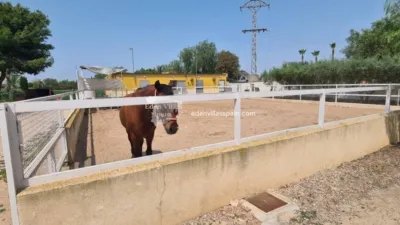 Casa – Elx - Elche - Vista 5