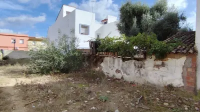Rustic house in Guillena photo 13
