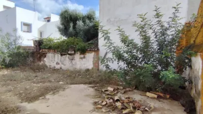 Rustic house in Guillena photo 14