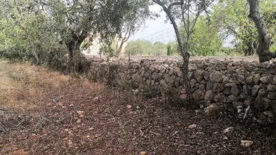 Rustic house in Felanitx photo 12