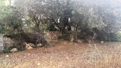 Rustic house in Felanitx photo 8