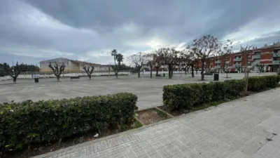 Apartment in Santa Maria-Eixample-Sud Sumella photo 6