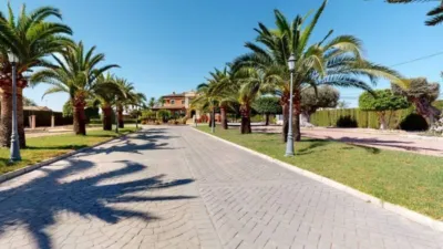 Chalet in Torrellano-Valverde-Business Park photo 19