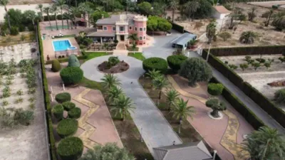 Casa – Elx - Elche - Més