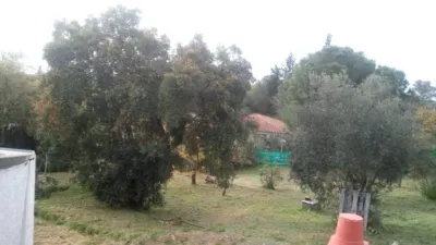 House in Castilblanco de los Arroyos photo 43