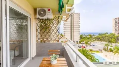 Apartment in Plaza de la Playa Paraíso photo 2