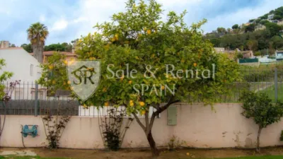 Villa in Roca Grossa-Serra Brava photo 43