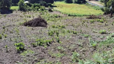 Terreno en venta en A Pobra Do Caramiñal - Vista 5
