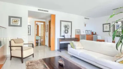 Apartment in La Calatrava photo 12