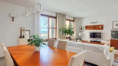 Apartment in La Calatrava photo 13