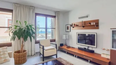 Apartment in La Calatrava photo 4