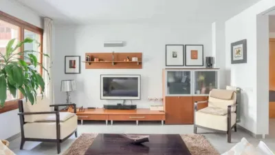 Apartment in La Calatrava photo 6