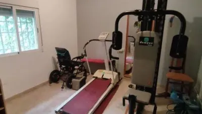 Miniatura 12