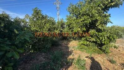 Terreno en venta en Les Deveses-Monte Pego - Vista 3