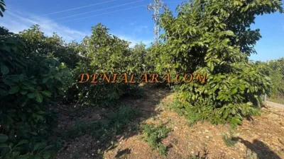 Terreno en venta en Les Deveses-Monte Pego - Vista 5