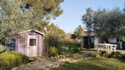 House in Felanitx photo 14