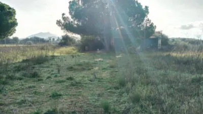 House in Felanitx photo 17