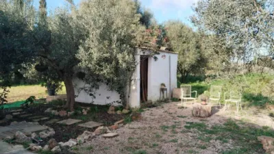 House in Felanitx photo 19