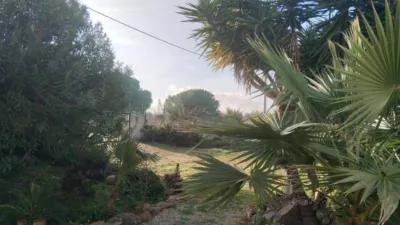 House in Felanitx photo 8