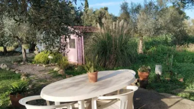 House in Felanitx photo 9