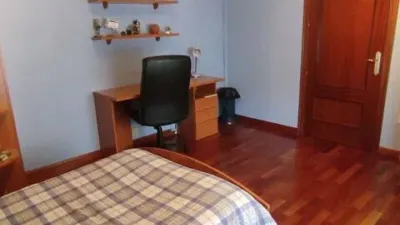Miniatura 12
