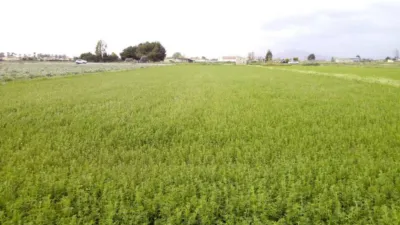 Terreno en venta en Dolores - Vista 4
