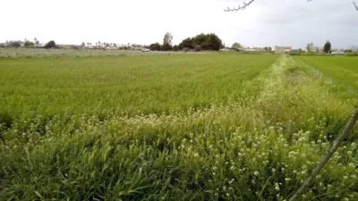 Terreno en venta en Dolores - Vista 5
