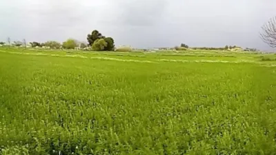 Terreno en venta en Dolores - Més