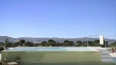Pis – Jacarilla - Més