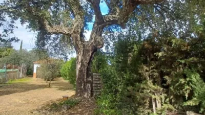 Chalet for sale in Castilblanco de los Arroyos photo 34