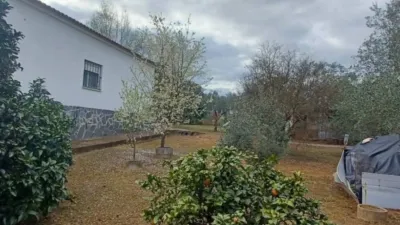 Chalet for sale in Castilblanco de los Arroyos photo 37