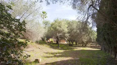 Rustic house in Capdepera photo 20