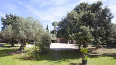Rustic house in Capdepera photo 9