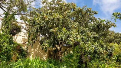 Chalet en venta en Calle Carretera de La Esperanza, 66, El Rosario de 670.000 €