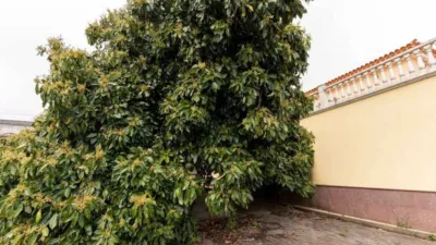 Chalet en venta en Calle Carretera de La Esperanza, 66, El Rosario de 670.000 €