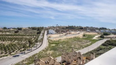 Chalet in Algorfa photo 26