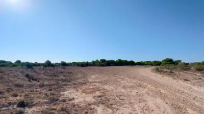Terreno en venta en Matola-La Foia-Las Bayas-La Marina - Vista 4