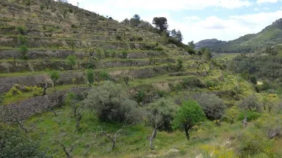Terreno en venta en Relleu - Vista 3