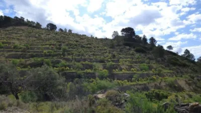 Terreno en venta en Relleu - Vista 4