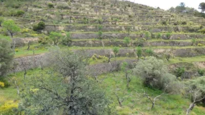 Terreno en venta en Relleu - Más