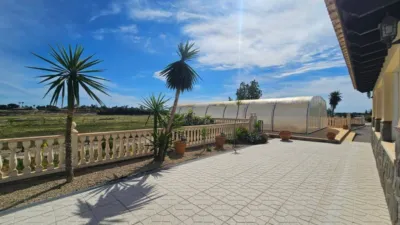 Rustic house in Torrellano-Valverde-Parc Empresarial photo 16
