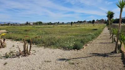 Rustic house in Torrellano-Valverde-Parc Empresarial photo 2