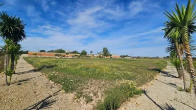 Rustic house in Torrellano-Valverde-Parc Empresarial photo 3