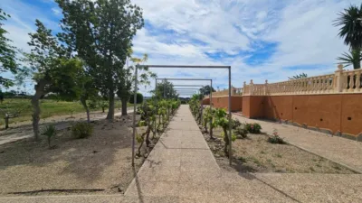 Rustic house in Torrellano-Valverde-Parc Empresarial photo 51
