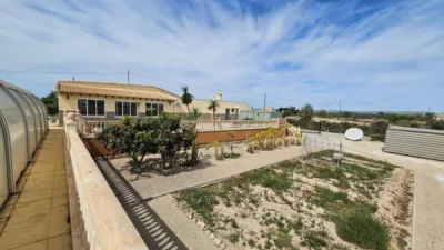 Rustic house in Torrellano-Valverde-Parc Empresarial photo 57