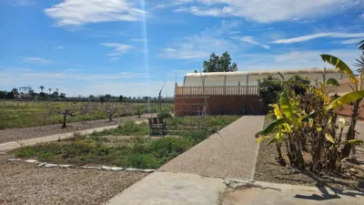 Rustic house in Torrellano-Valverde-Parc Empresarial photo 7