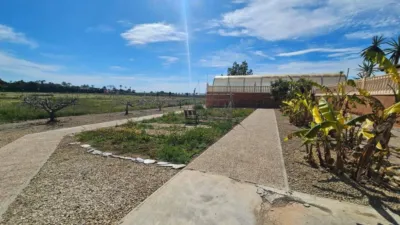 Rustic house in Torrellano-Valverde-Parc Empresarial photo 8