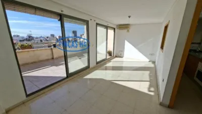 Pis – Alacant / Alicante, Campoamor, l'Alacantí - Més