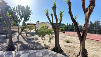 House in Orgegia photo 51
